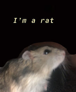 Meet your Posher, Danny